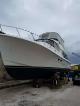 Thumbnail von Hampton 490 PILOTHOUSE