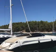 Thumbnail von Performance 1307