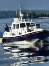 Thumbnail von Dale Nelson 38