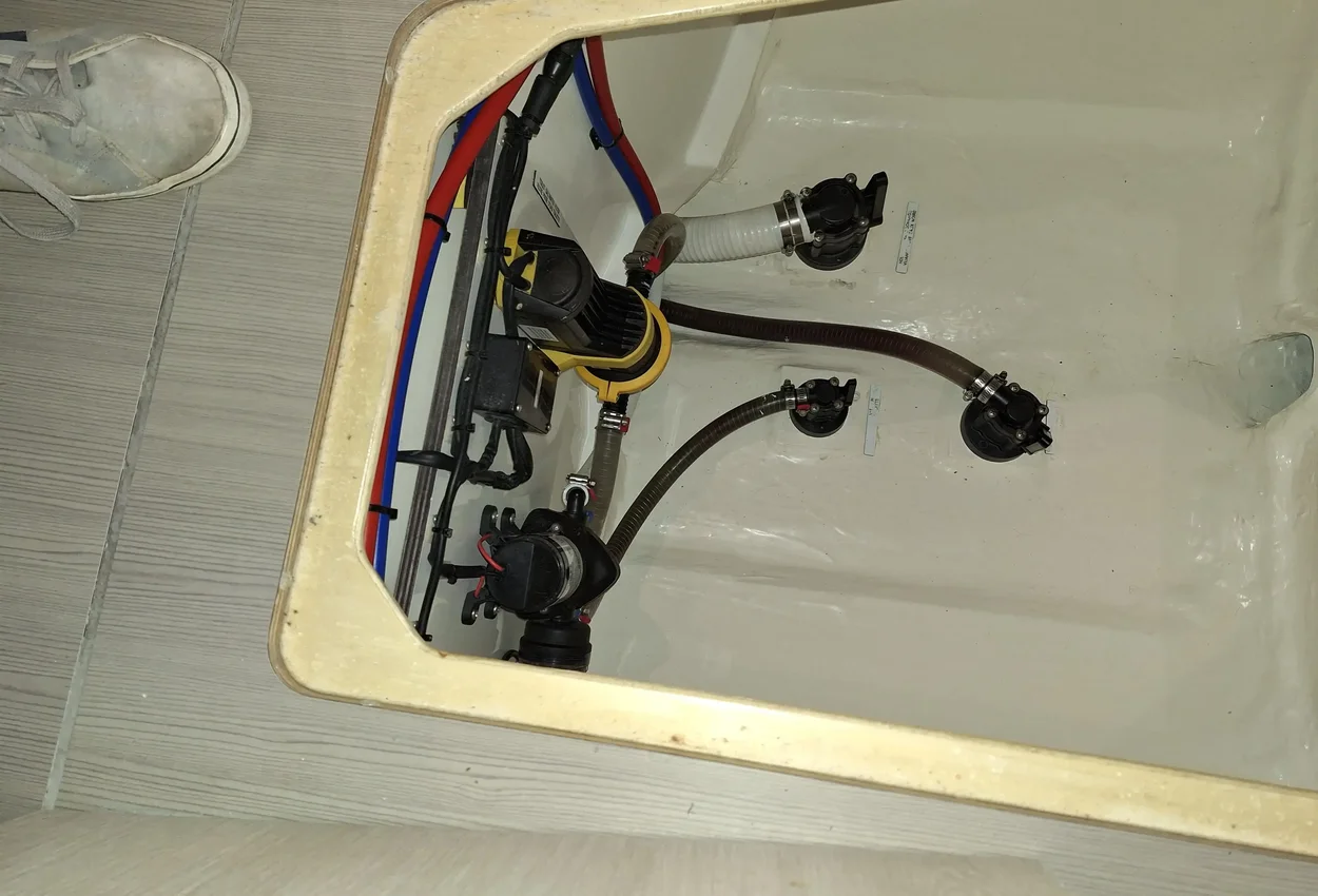 Thumbnail von Leopard 45 PRINCE LAURENCE