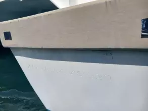 Thumbnail von Leopard 50 AMAZING