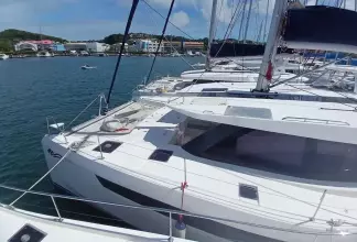 Thumbnail von Leopard 50 AMAZING