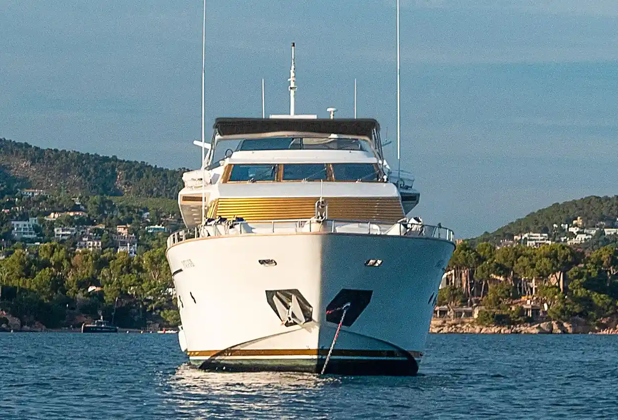 Thumbnail von Falcon 100