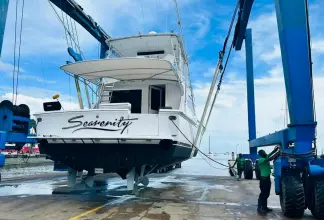 Thumbnail von Bertram 54