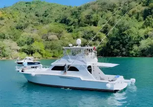 Thumbnail von Bertram 54