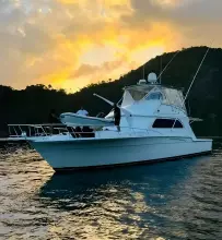 Thumbnail von Bertram 54