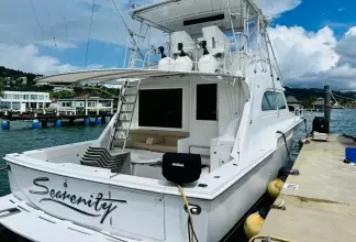 Thumbnail von Bertram 54