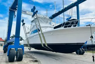 Thumbnail von Bertram 54