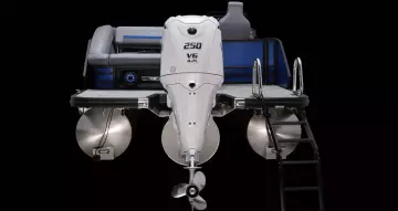 Thumbnail von Bennington Fishtoon 22S