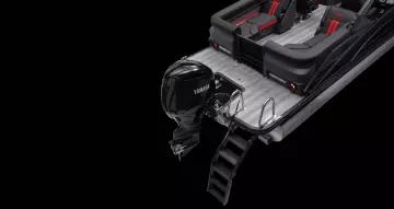 Thumbnail von Bennington Fishtoon 22S