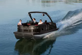 Thumbnail von Bennington Fishtoon 22S