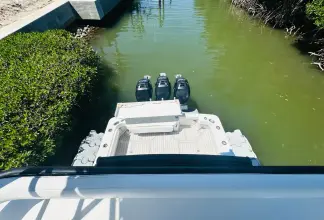 Thumbnail von Luhrs 320 Tournament