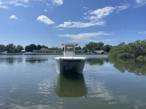 Thumbnail von World Cat 260 CC