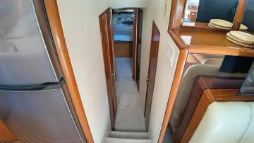 Thumbnail von Viking 47 Convertible