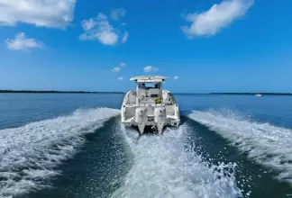 Thumbnail von Pursuit S 328