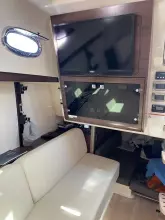 Thumbnail von Boston Whaler 345 Conquest