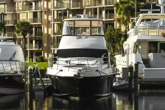 Thumbnail von Sea Ray 580 Sedan Bridge