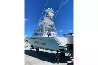 Thumbnail von Contender 38 Express