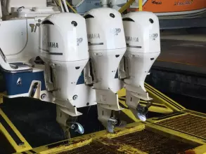 Thumbnail von Grady White Freedom 335