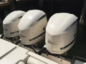 Thumbnail von Grady White Freedom 335