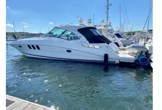 Thumbnail von Sea Ray 48 Sundancer