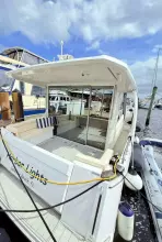 Thumbnail von Greenline 39 Hybrid Harbor Lights