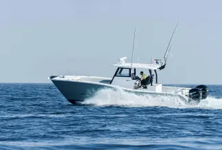 Thumbnail von SilverCat 34 CC