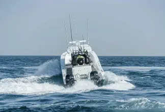 Thumbnail von SilverCat 34 CC