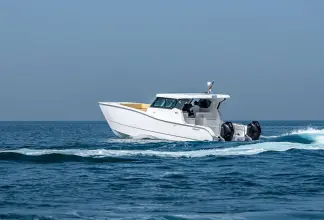 Thumbnail von SilverCat 34 LUX