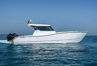 Thumbnail von SilverCat 34 LUX