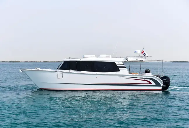 SilverCat 40 CC ULTRA