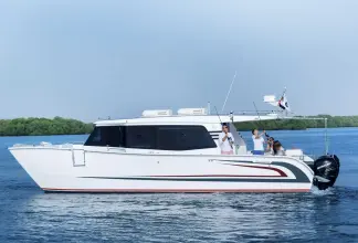 Thumbnail von SilverCat 40 CC ULTRA