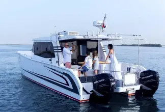 Thumbnail von SilverCat 40 CC ULTRA