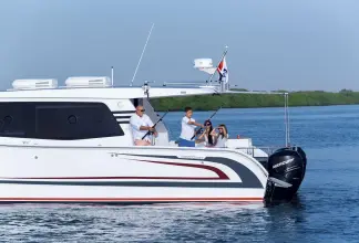 Thumbnail von SilverCat 40 CC ULTRA