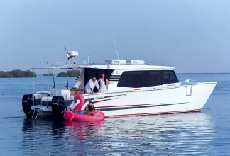 Thumbnail von SilverCat 40 CC ULTRA