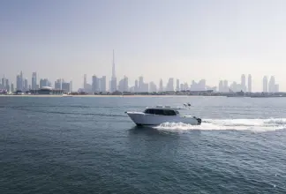 Thumbnail von SilverCat 40 CC ULTRA