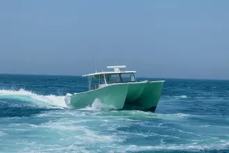 Thumbnail von SilverCat 40 CC ULTRA