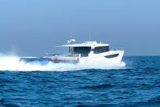 Thumbnail von SilverCat 46 LUX