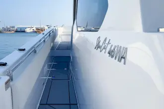 Thumbnail von SilverCat 46 LUX