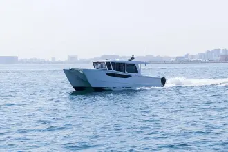 Thumbnail von SilverCat 46 LUX