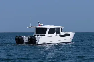 Thumbnail von SilverCat 46 LUX