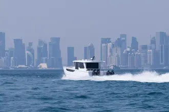 Thumbnail von SilverCat 46 LUX