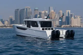 Thumbnail von SilverCat 46 LUX