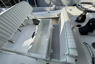 Thumbnail von Yellowfin 29