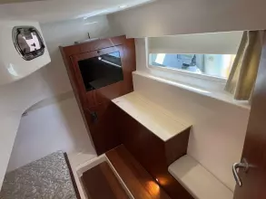 Thumbnail von Pursuit 365I SC Cadence