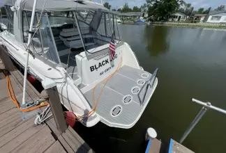 Thumbnail von Formula 41 PC BLACK DOG