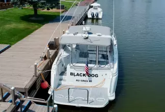 Thumbnail von Formula 41 PC BLACK DOG