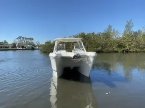 Thumbnail von World Cat 296 DC