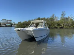 Thumbnail von World Cat 296 DC