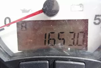 Thumbnail von Leopard 50 Believe